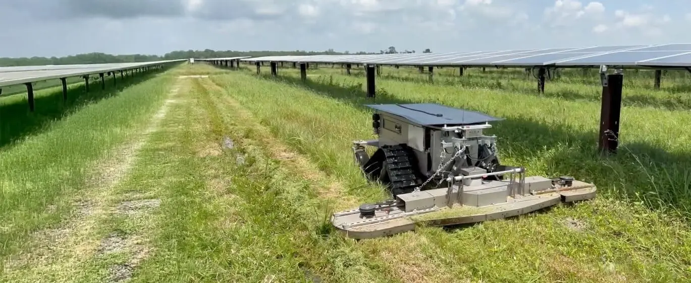 LCRs in solar field mowing grass (1)