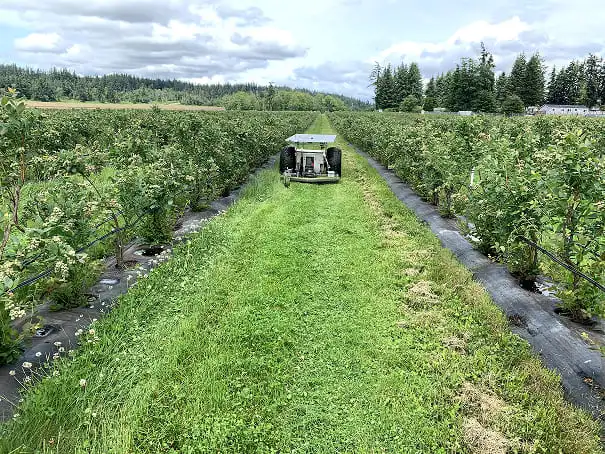 Robotic Lawn Mowing in field