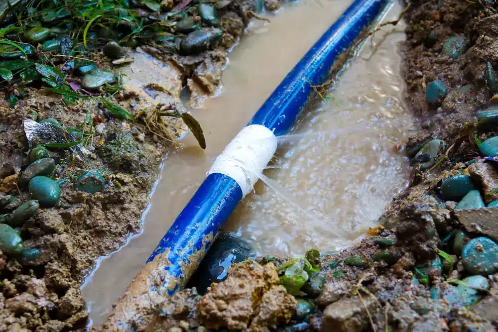 Leaking Hose Irrigation